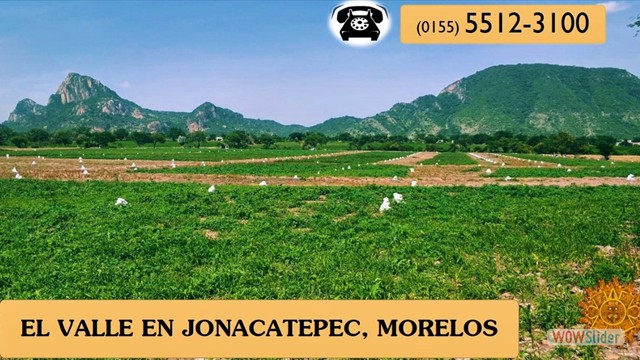 LA JOYA