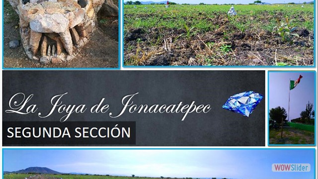 LA JOYA